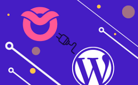 10 پلاگین رایگان وردپرس برای سامانه  LMS